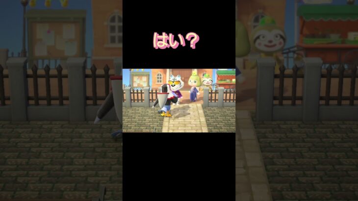 あつ森#350　まったりしていきませんか？🐯🦅