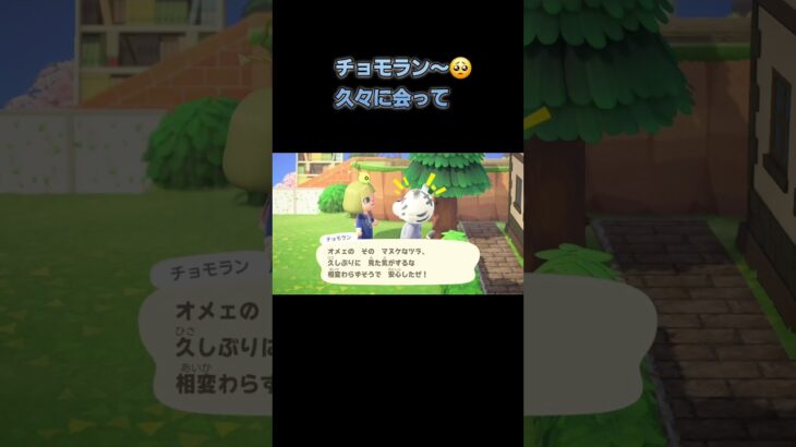 あつ森　#352　まったりしていきませんか？🐯🥹