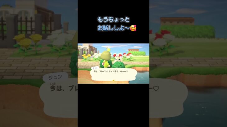 あつ森　#353　まったりしていきませんか？🐿️✨️