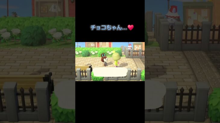 あつ森　#355　まったりしていきませんか？🐰～♥️