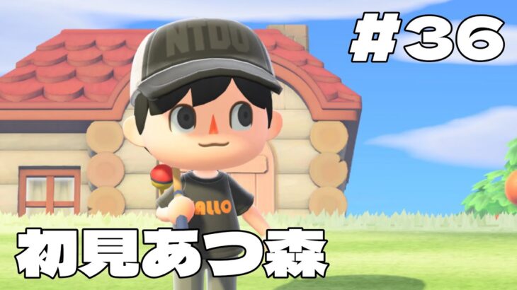 【初見あつ森】博物館の坂を作る36日目🌿初心者に色々教えてください！【あつまれどうぶつの森】