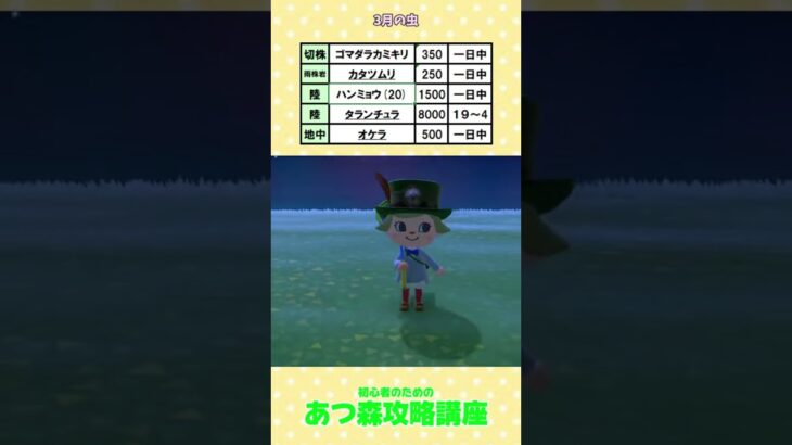 ＃あつ森4月の虫＃あつ森モルフォ蝶   ＃あつ森初心者＃あつ森コンプ＃あつ森攻略講座