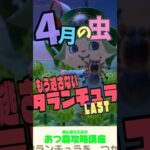 4月の虫 #あつ森タランチュラ ＃あつ森コンプ＃あつ森初心者 #あつ森攻略講座