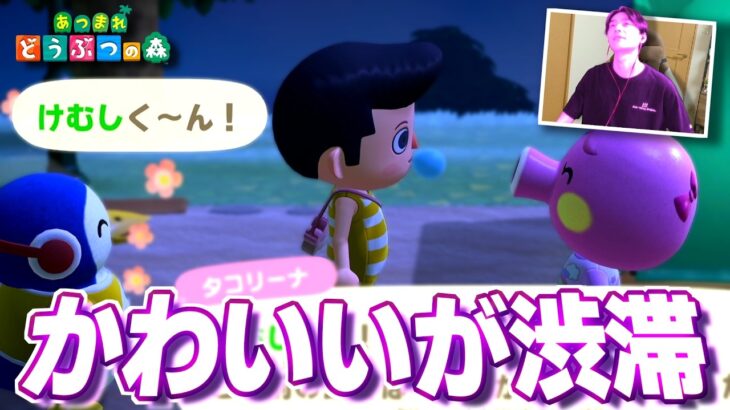 【あつ森】ヤベェ!!!かわいいに挟まれちまった…動けねぇ!!!【切り抜き】#4