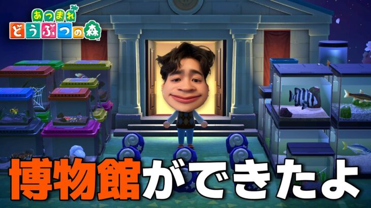 【あつ森】ごめんバグった。やっとこさ博物館できたから寄贈するわ【ライブ配信】#4