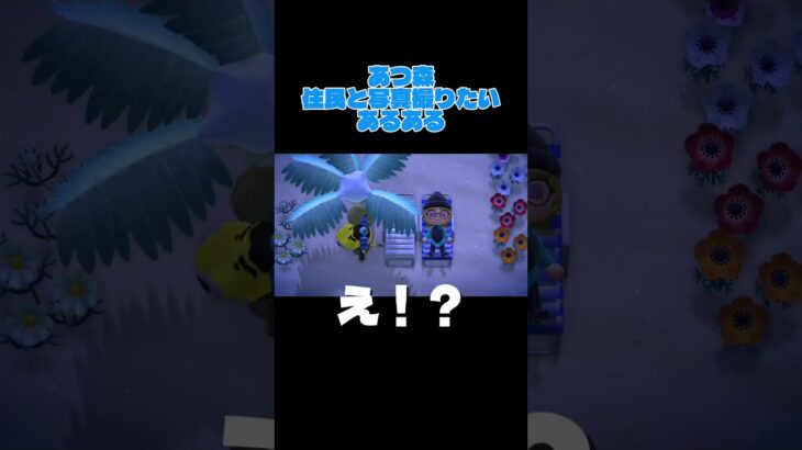 【あつ森ｼｮｰﾄ#4】撮りたい、撮れない。撮らせて？