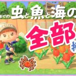【あつ森】4月の図鑑コンプするぞ！！📕💪【よりどり島】