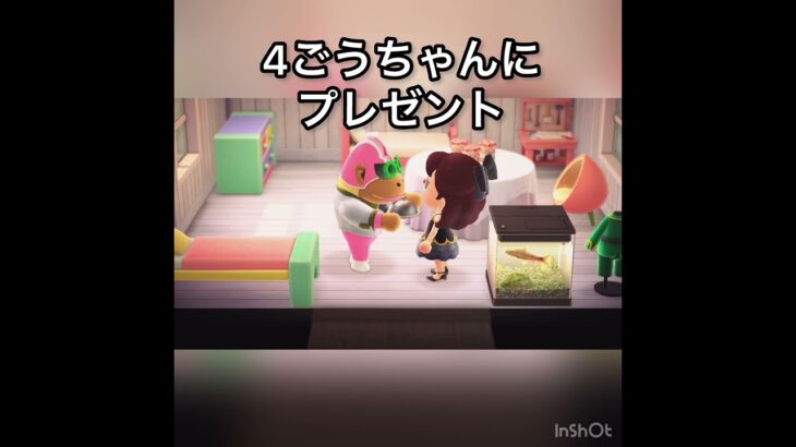 【あつ森】4ごうちゃんにプレゼント　#vlog #あつ森 #あつまれどうぶつの森 #こはくちゃんねる2424   #毎日更新　毎日更新中