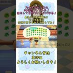 『 #あつ森』たぬきのおきもの40個DIYして売却してみた！安いか高いか検証！ #あつまれどうぶつの森　#animalcrossing  #shorts  #ゲーム実況 #チャンネル登録お願いします