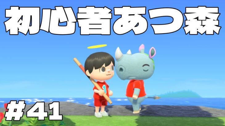【初見あつ森】ついに離島ガチャをやってみる41日目🌿初心者に色々教えてください！【あつまれどうぶつの森】