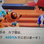 【あつ森】カブ420チャンネル登録、高評価で無料参加