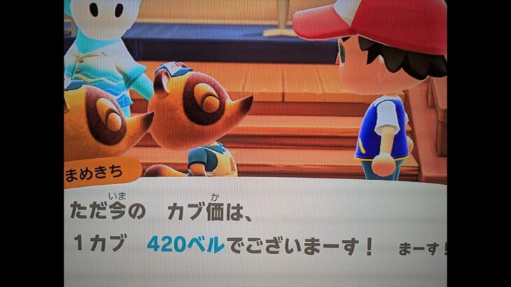 【あつ森】カブ420チャンネル登録、高評価で無料参加