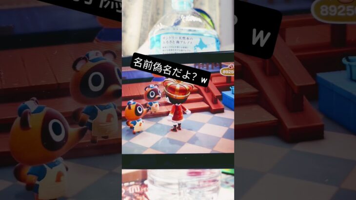 カブ価425！？😎😇 #あつ森🌳