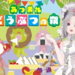427回目 【 ＃あつ森 】switch２Edition❤️肋骨骨折により、少し短め配信♪【#Vtuber】雛（suu)