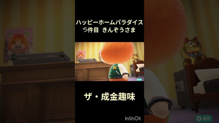 【ハピパラ】5件目 きんぞうさま「ザ・成金趣味」【あつ森】