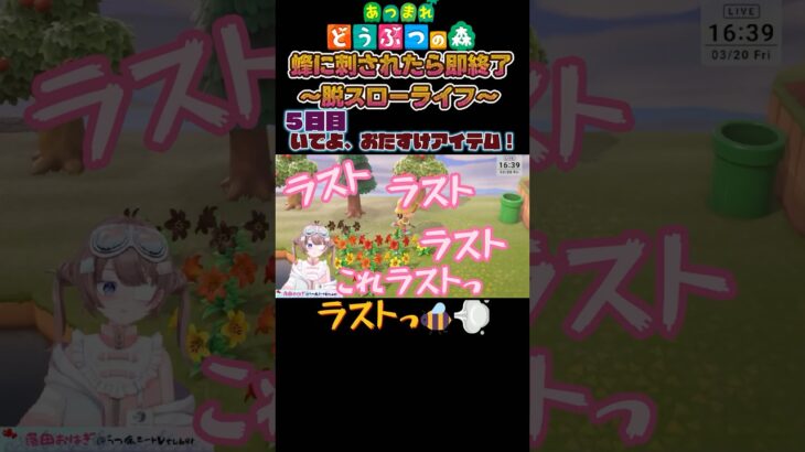 【あつ森】脱スローライフ5日目、とうとうお助けアイテム登場【落田おはぎ】 #あつ森 #新人vtuber #切り抜き