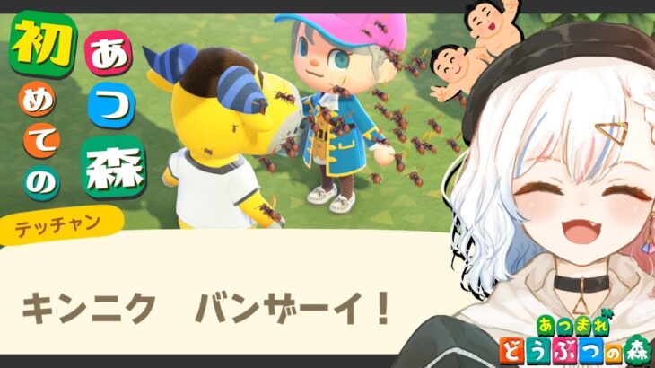 #51【あつ森】初心者あつ森 ほんとのほんとに少しだけ