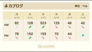 【あつ森】カブ523！！チャンネル登録、高評価で無料参加