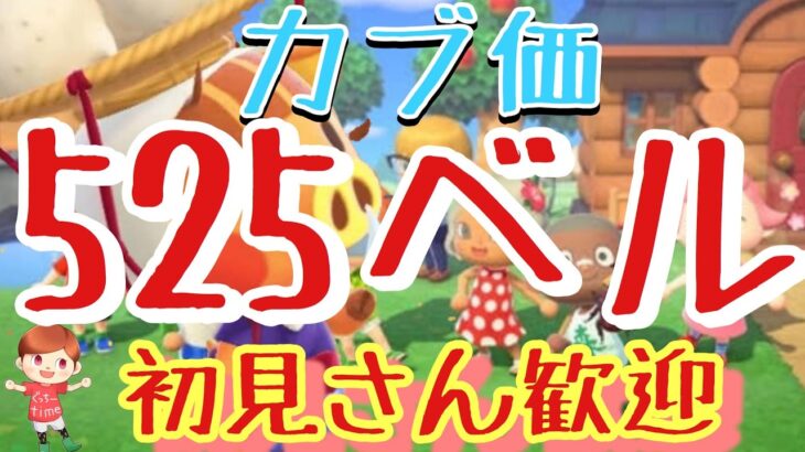 【あつ森】カブ価525ベル島など　ライブ参加型