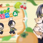 【53日目】離島へ行く日【あつまれどうぶつの森/あつ森】#雑談