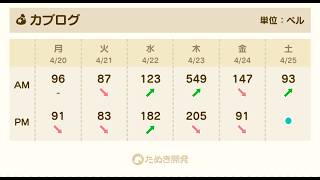 【あつ森】カブ549！チャンネル登録、高評価で参加OK