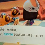【あつ森】カブ595！！チャンネル登録、高評価で無料参加