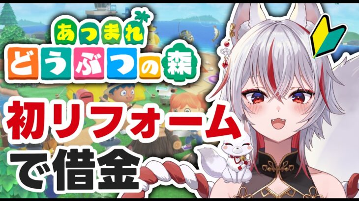 🔴6年遅れで家を広げたら、また借金が始まりました【あつ森】