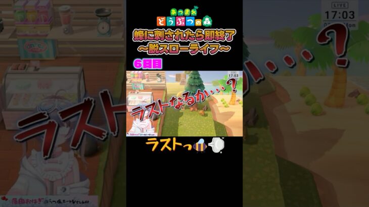 【あつ森】脱スローライフ6日目、とうとう完結なるか…？【落田おはぎ】 #あつ森 #新人vtuber #切り抜き