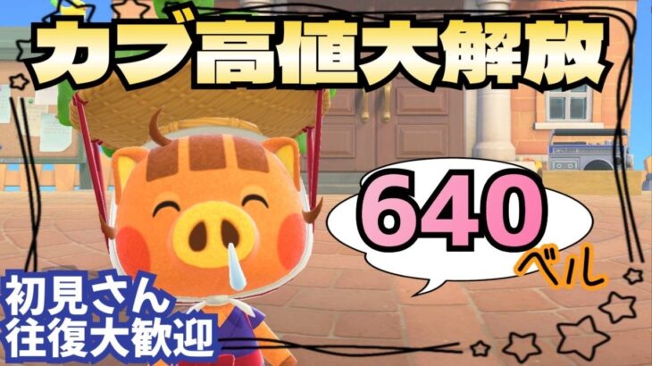 【あつ森実況】カブ価最大640ベル！！参加型！【初見さん歓迎！】