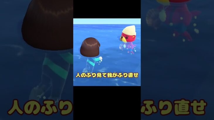 今日のラコスケ＃64「早く気がついて！」3選【あつ森】#shorts