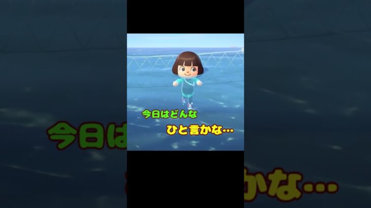 今日のラコスケ＃65「あっという間に…」3選【あつ森】#shorts