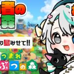 あつまれどうぶつの森 #81┊島訪問 第13回！初見さん大歓迎✨️あなたの島を訪問させてほしい✨️【猫百合イッサ／StellarRealm】