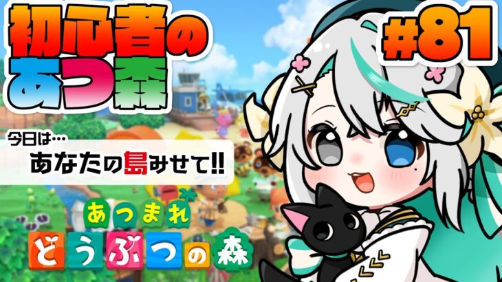 あつまれどうぶつの森 #81┊島訪問 第13回！初見さん大歓迎✨️あなたの島を訪問させてほしい✨️【猫百合イッサ／StellarRealm】