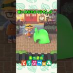 【あつ森】祝！どうぶつの森２５周年!!! #あつまれどうぶつの森 #あつ森 #どうぶつの森 #ACNH #あつ森アプデ #animalcrossing #fyp