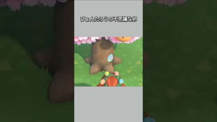 【あつ森】ぴょんたろうの卵は木をすり抜ける不思議な卵！？【あつまれどうぶつの森】【どうぶつの森】【ACNH】 #short