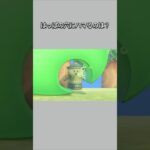 【あつ森】はっぱにあいてる穴にジャストフィットするのは？あっ！これだ！【あつまれどうぶつの森】【どうぶつの森】【ACNH】 #short