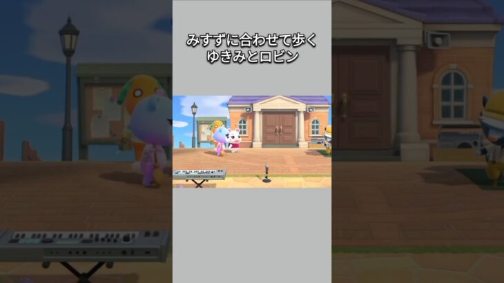【あつ森】みすずに合わせて歩く、ゆきみとロビン。【あつまれどうぶつの森】【どうぶつの森】【ACNH】 #short