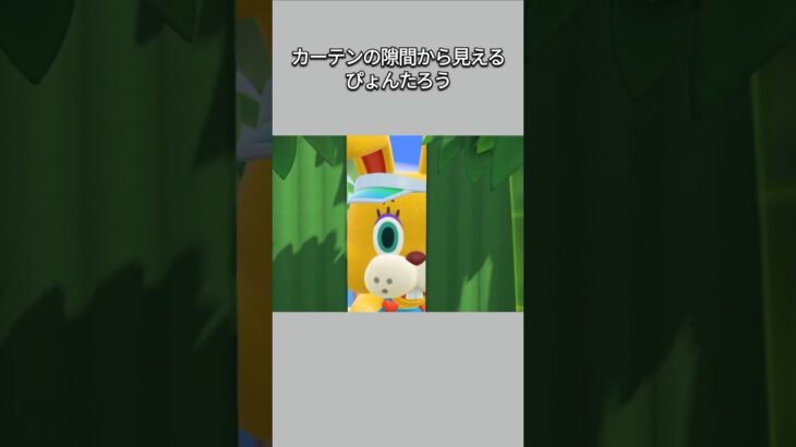 【あつ森】カーテンの隙間から見え隠れするぴょんたろう🐰こ、怖い？！😂【あつまれどうぶつの森】【どうぶつの森】【ACNH】 #short