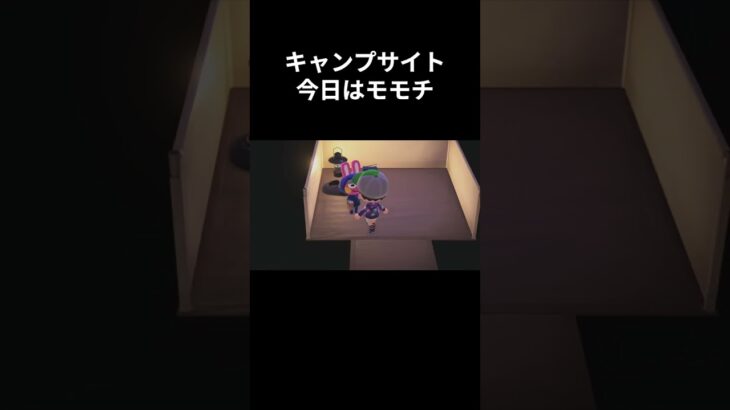 あつ森　キャンプサイト　今日はモモチ　Animal Crossing The Roost #animalcrossingnewhorizons #animalcrossing