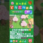 【あつ森】この癒される時間が好き🥰どうぶつの森が大好き💕 #どうぶつの森 #AnimalCrossing #ACNH #NintendoSwitch #NintendoSwitch2