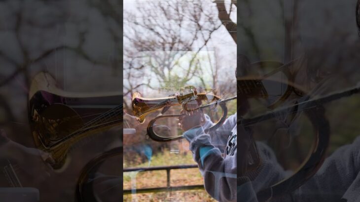 【あつ森】あつまれ どうぶつの森 メインテーマ BGM 演奏してみた〜フリューゲル×ギターバージョン