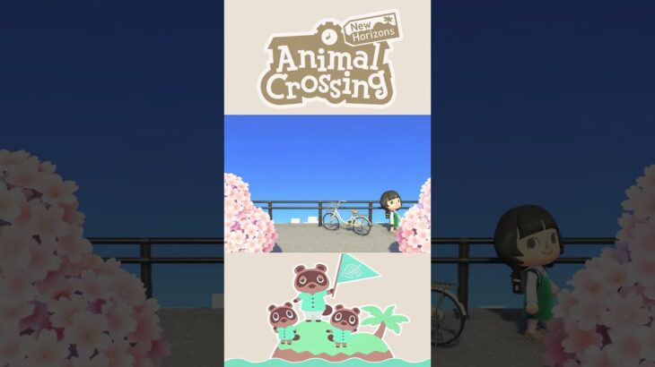 City Skylines #animalcrossing #animalcrossingnewhorizons #acnh