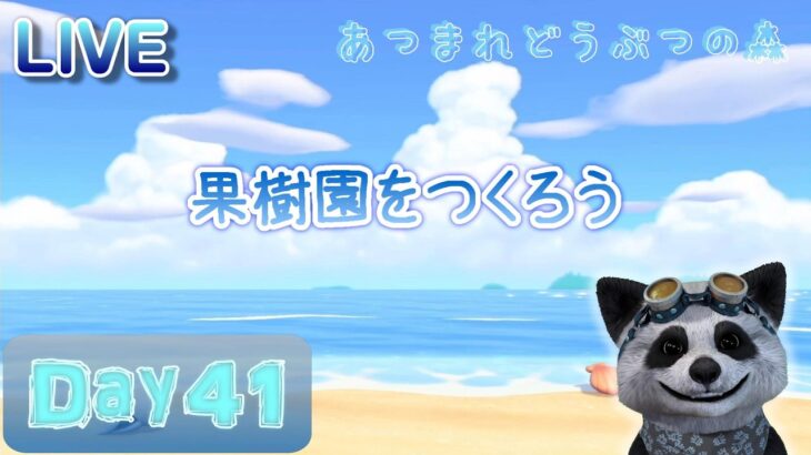 【あつ森】Day41 はじめての果樹園づくり ～自由気ままに島暮らし～