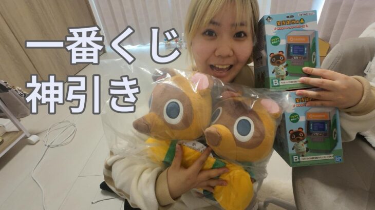 【神引き‼️】あつ森一番くじE賞狙いで行ったら結果がヤバすぎた