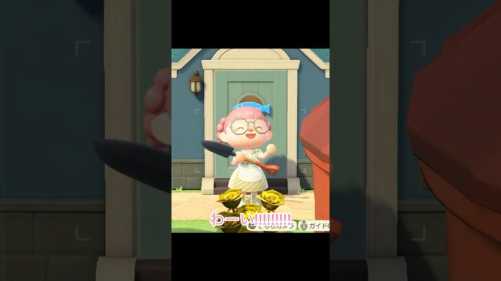 お写真GET!!!!!!!!!残り少ない!!!!!!!!!頑張るぞっ!!!!!!!!! #あつ森 #あつまれどうぶつの森 #あつまれどうぶつのもり #ゲーム実況 #ゲーム #どうぶつの森 #実況