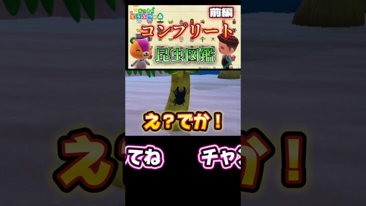 これぞオオクワガタ‼️カンタンGET！？【あつまれどうぶつの森】【あつ森】#あつまれどうぶつの森 #あつ森 #どうぶつの森 #ゲーム #ゲーム実況 #shorts