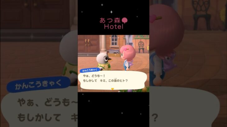 あつ森🌳Hotel🏨✨　こおりの部屋　観光客　かまぼこ