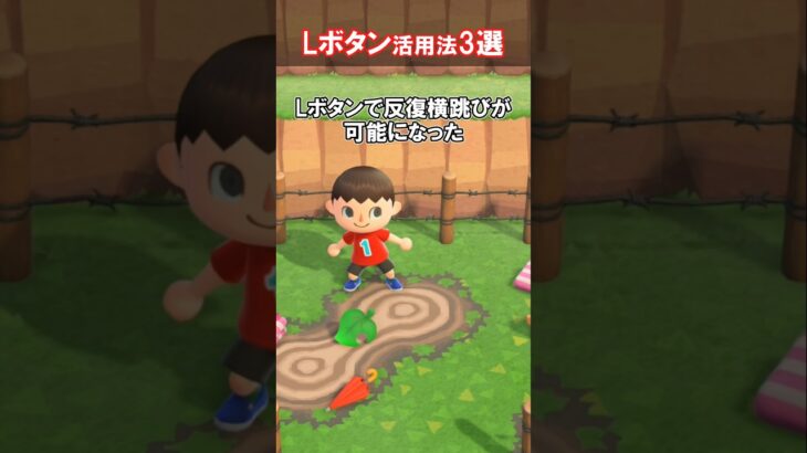 Lボタン活用法3選！ 【あつ森】@ほのげ