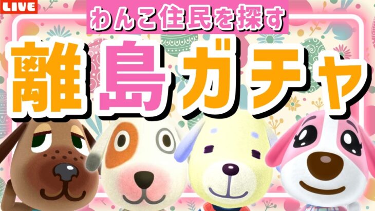 【あつ森】奇起きてます！今日こそ犬住民をお迎えしたい！可愛いわんこ島を作るための離島ガチャLIVE配信【あつまれ どうぶつの森】