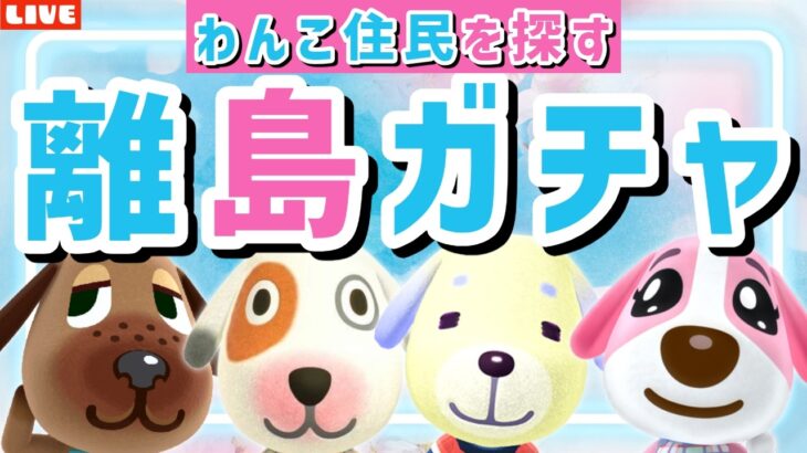 【あつ森】今日も犬住民お迎えできるかな？可愛いわんこ島を作るための離島ガチャLIVE配信【あつまれ どうぶつの森】